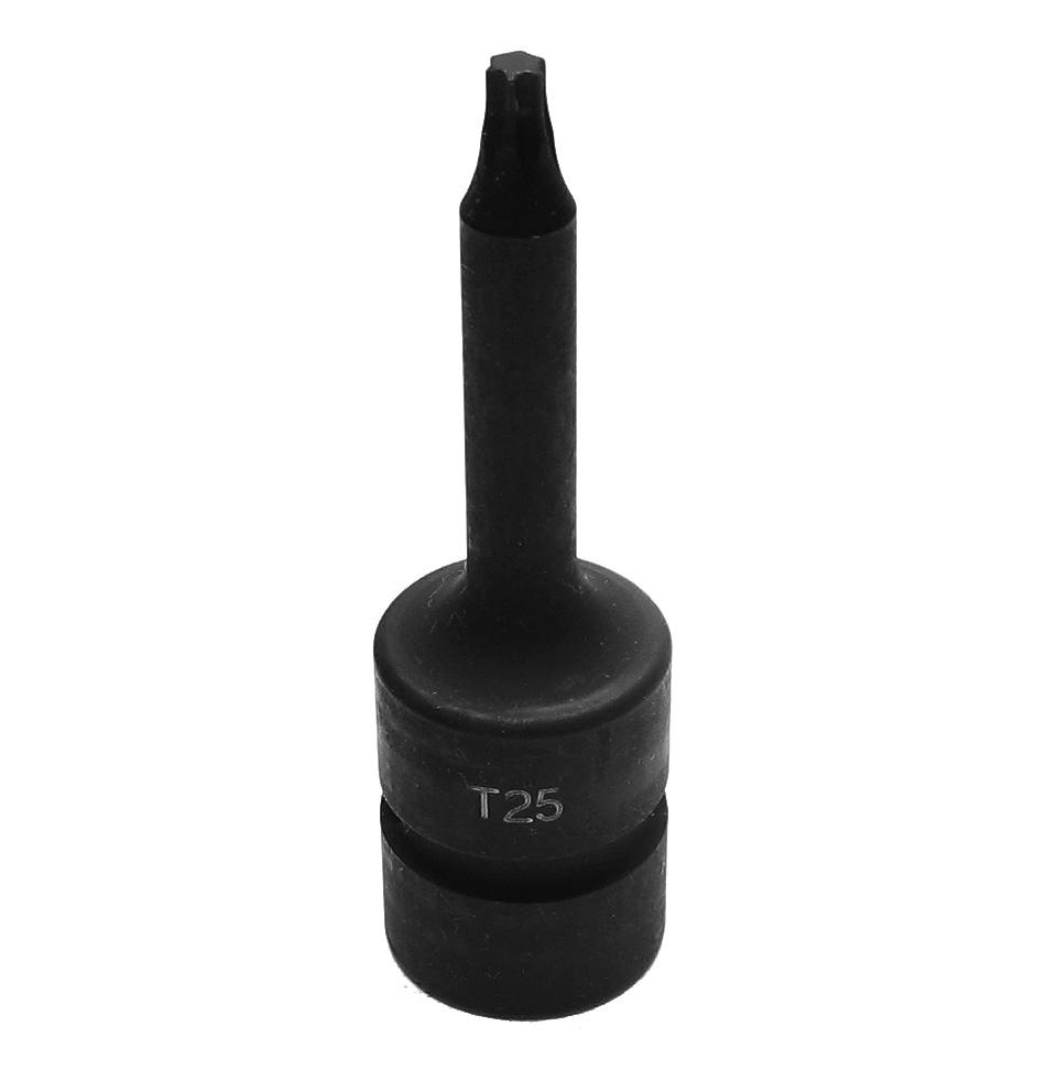 Nuss  x T25 TampR Torx int. L75